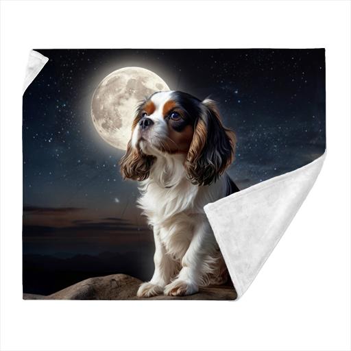Cute, Cavalier pup on a full moon..