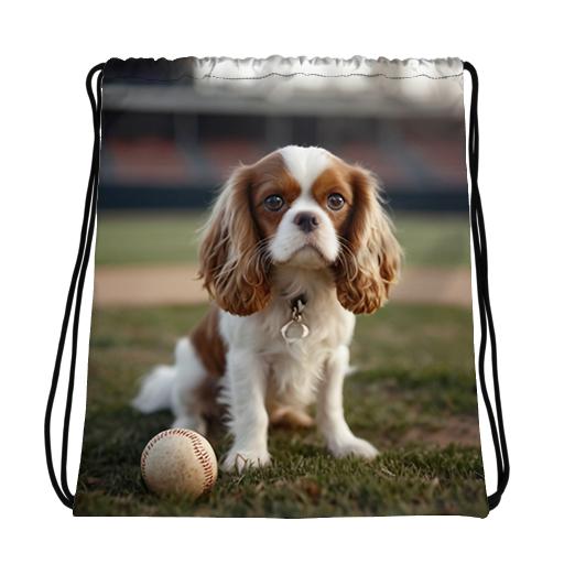 Cavalier pup on the baseball field